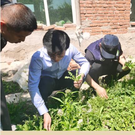 爱联盟，编织梦想，共筑未来
