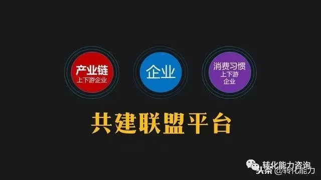 聚瑞联盟，共创共赢，携手打造商业新生态