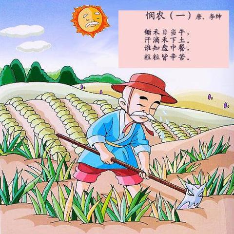 七七禾广告联盟，重塑数字营销新生态的领航者