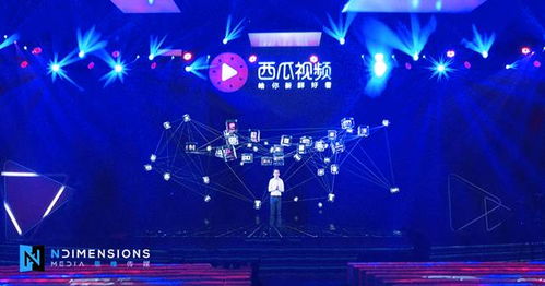 彼维广告传媒，重塑品牌价值的创意引擎