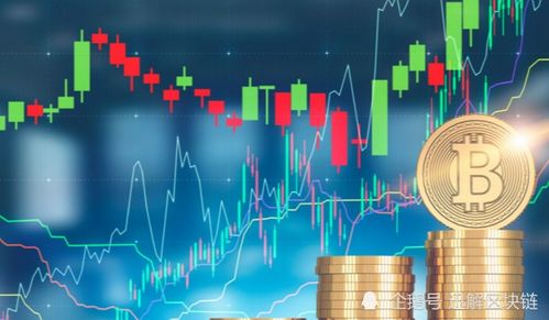 中财联盟，重塑金融生态，引领数字经济新纪元