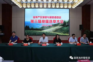 华越联盟，携手并进，共创未来