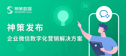 云优广告联盟，重塑数字营销新生态的领航者