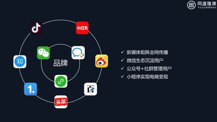 VX流量广告联盟，解锁数字营销新纪元，打造高效流量变现平台