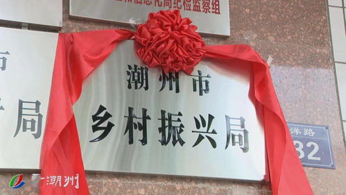 水蜜桃联盟，共筑甜蜜事业，引领乡村振兴新篇章