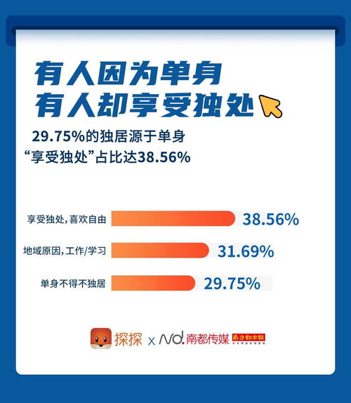 宝利交友CPA联盟，重塑社交与职业发展的双赢模式