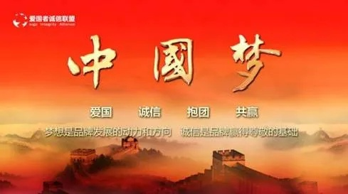 爱国者联盟，凝聚爱国力量，共筑民族辉煌
