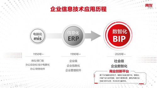 云脉网，重塑数字时代的商业脉搏