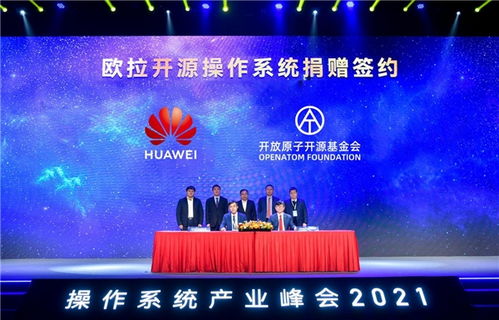 SP联盟，重塑数字娱乐生态的先锋力量