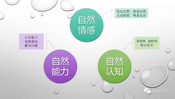 自爱网，构建自我认知的桥梁，探索内在力量的源泉