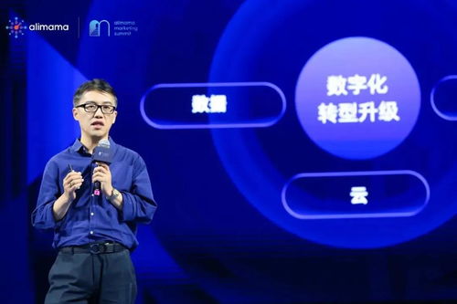 阿里妈妈广告，重塑数字营销生态，引领品牌新增长