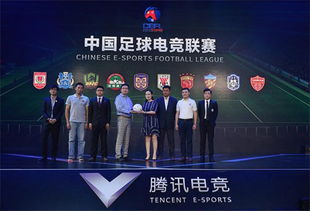 弹窗广告联盟，互联网营销的新挑战与机遇