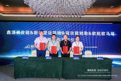蓝光联盟，重塑高清视界，引领未来娱乐新风尚