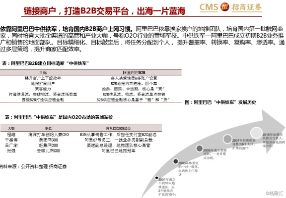 阿里联盟，重塑电商生态，引领数字商业新未来