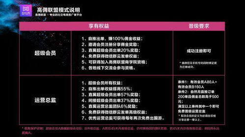 躺赚联盟，解锁财富自由的新模式