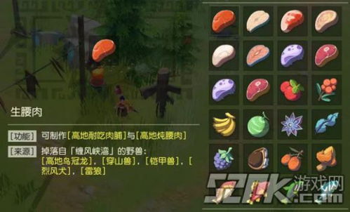 猫扑联盟，探索宠物社交的新纪元