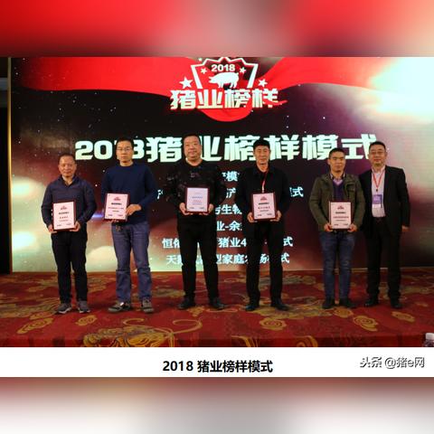 宣传易传媒，重塑数字时代下的品牌传播新生态