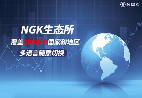 阳光SP平台，重塑数字教育新生态的先锋力量