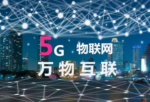 乐腾网盟，打造数字化时代下的全新商业生态圈