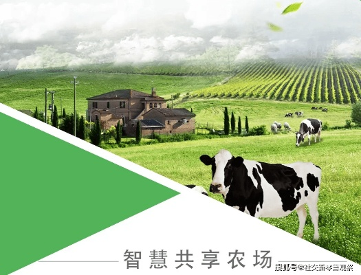 牛播联盟，重塑农业信息传播生态，赋能乡村振兴新篇章