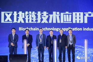 88链广告联盟，重塑数字营销新生态的先锋力量