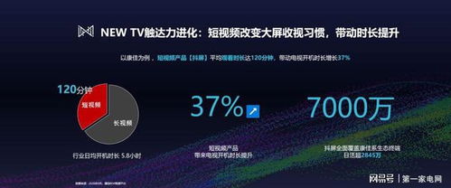 网络114推广联盟，打造数字化时代营销新生态