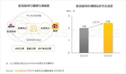 E网弹窗广告联盟，重塑互联网广告生态的革新力量