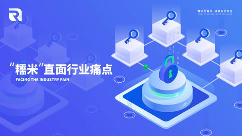 中金联盟，重塑金融版图，引领全球投资新趋势