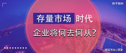 瑞虎广告联盟，打造精准营销，引领数字时代广告新风尚