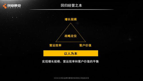 揭秘X档案广告联盟，数字营销新纪元下的高效合作平台