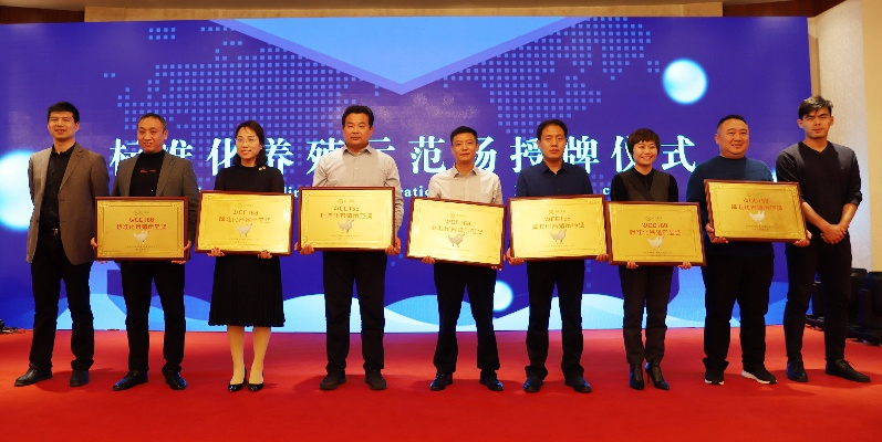 双赢广告联盟，携手共创双赢新纪元
