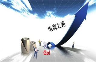 齐齐乐淘网联盟，打造全新购物体验，引领电商新风尚