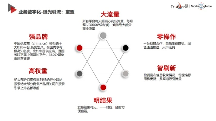 星月广告联盟，重塑数字营销新生态的领航者