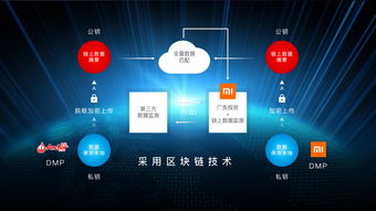 易拓广告联盟，开启数字营销新纪元，助力企业精准触达目标用户