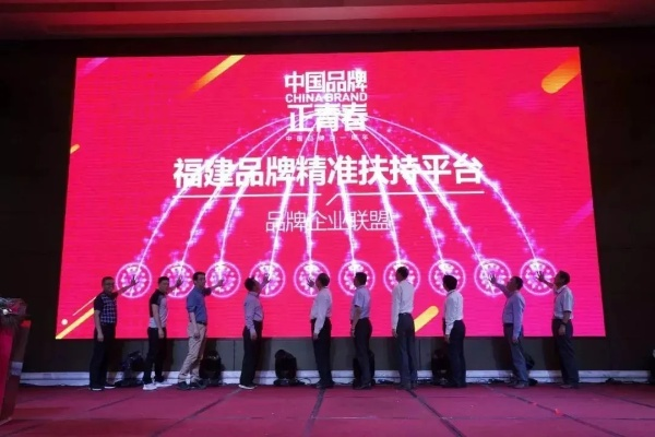 中闽广告联盟，重塑数字营销新生态，引领企业品牌新高度