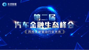 高价日结算联盟，重塑电商支付生态，引领未来消费新趋势