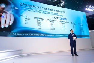 探索网站联盟，构建共赢生态，实现流量与价值双赢