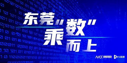 八鹏广告联盟，重塑数字营销新生态的领航者