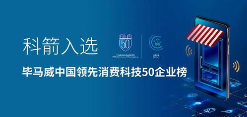 富媒广告联盟，重塑数字营销生态，引领未来广告趋势