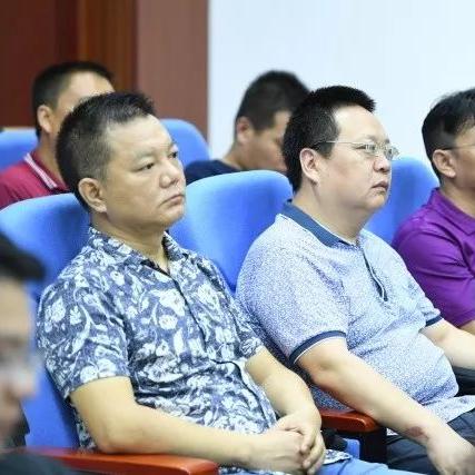 356广告联盟，打造高效广告投放，助力企业精准营销