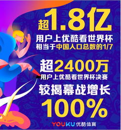 领跑网吧广告联盟，打造精准营销新生态，引领数字时代广告新风尚