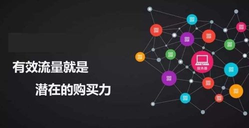 大禾流量联盟，打造私域流量，实现精准营销