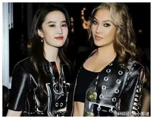 丽人宫广告联盟，打造女性魅力，引领时尚潮流