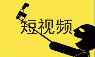 本色网络联盟，重塑互联网文化的纯净力量