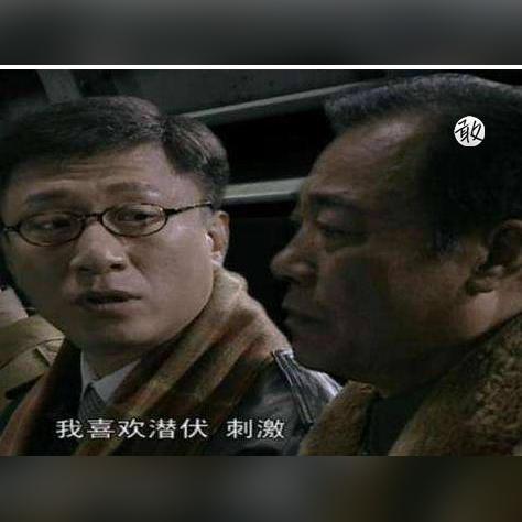 528广告联盟，重塑数字营销生态，引领广告新纪元