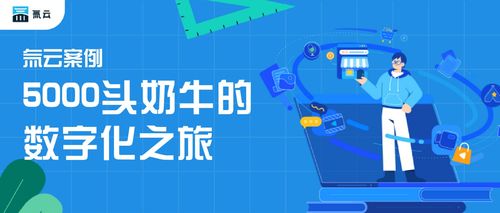 好牛广告联盟，打造高效广告生态，引领数字营销新风尚