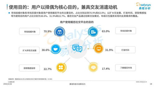 CPA169交友广告联盟，打造真实社交，拓宽人脉新渠道