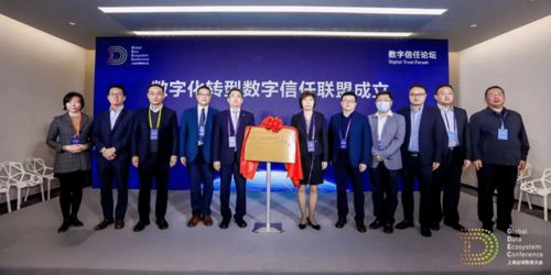 TRC联盟，重塑数字时代信任基石的创新实践
