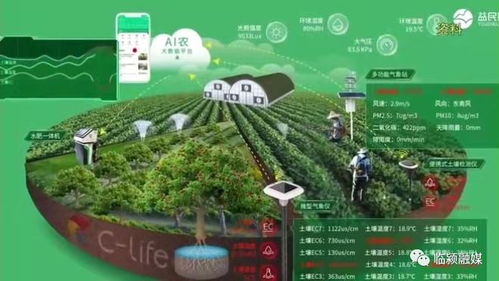 牛牛联盟，重塑农业生态，引领智慧牧业的未来