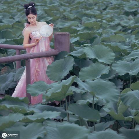 忆汇联盟，重塑数字时代下的金融合作新生态